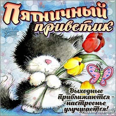 тимвиш приблиікаютт чшстр е_иыг ш