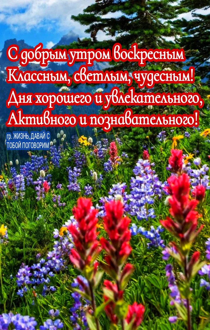 А Аня хорошего и уВАсКашсмэного нг Е А11пи8ного 1_1 познавашшъного