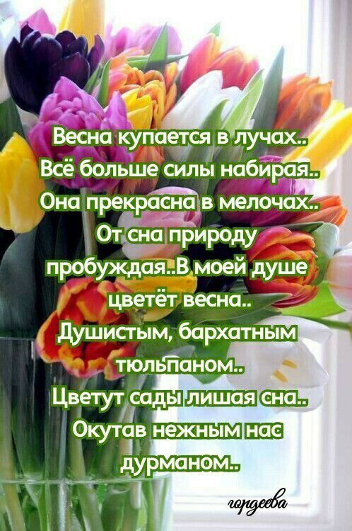 Цветтсадыдшь Окутав нежным