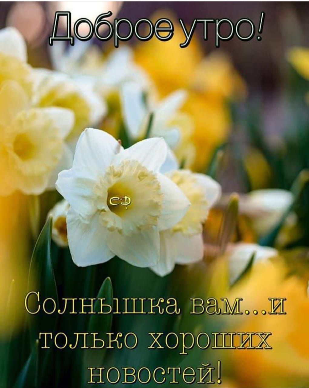 Солнышко и только хороших _ __Новоотойі