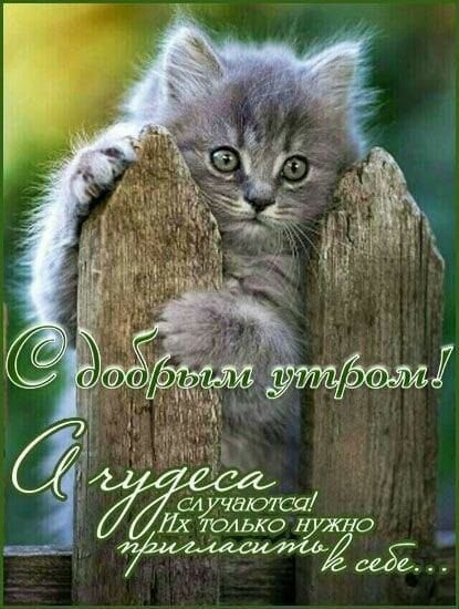 д 1133 ко НУЖНО Ы