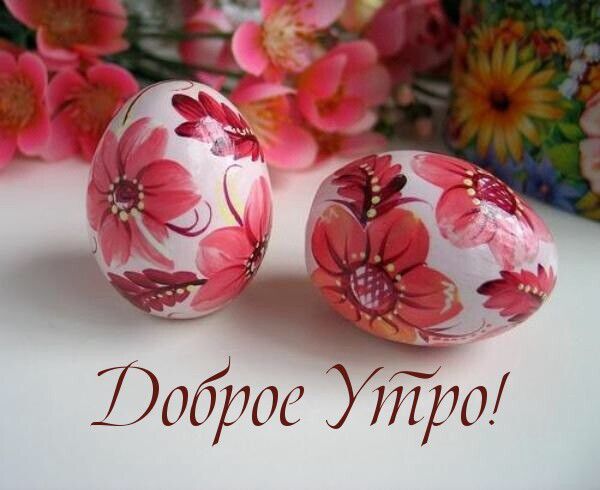 73051906 Утро
