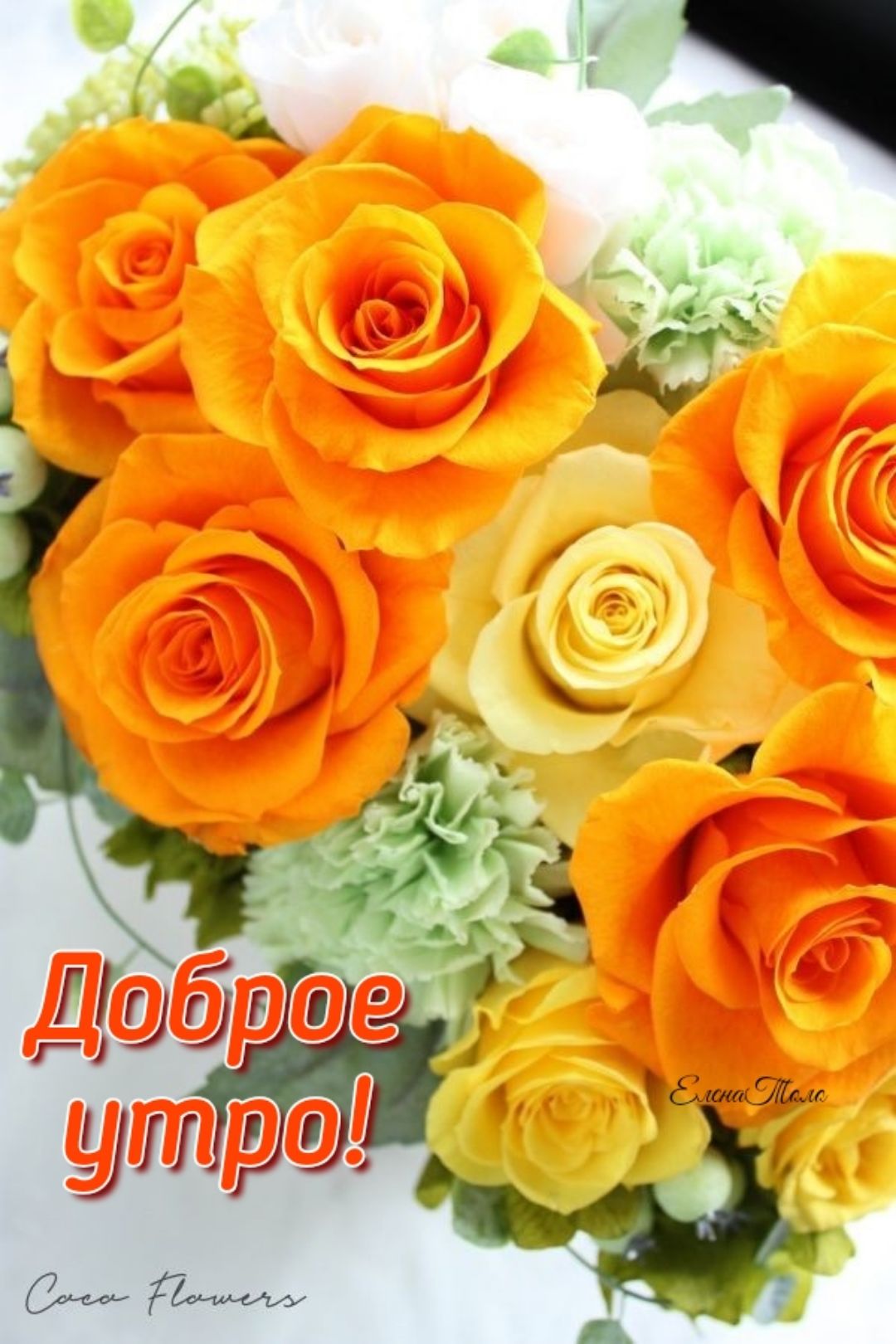 ш ъ еь иг 