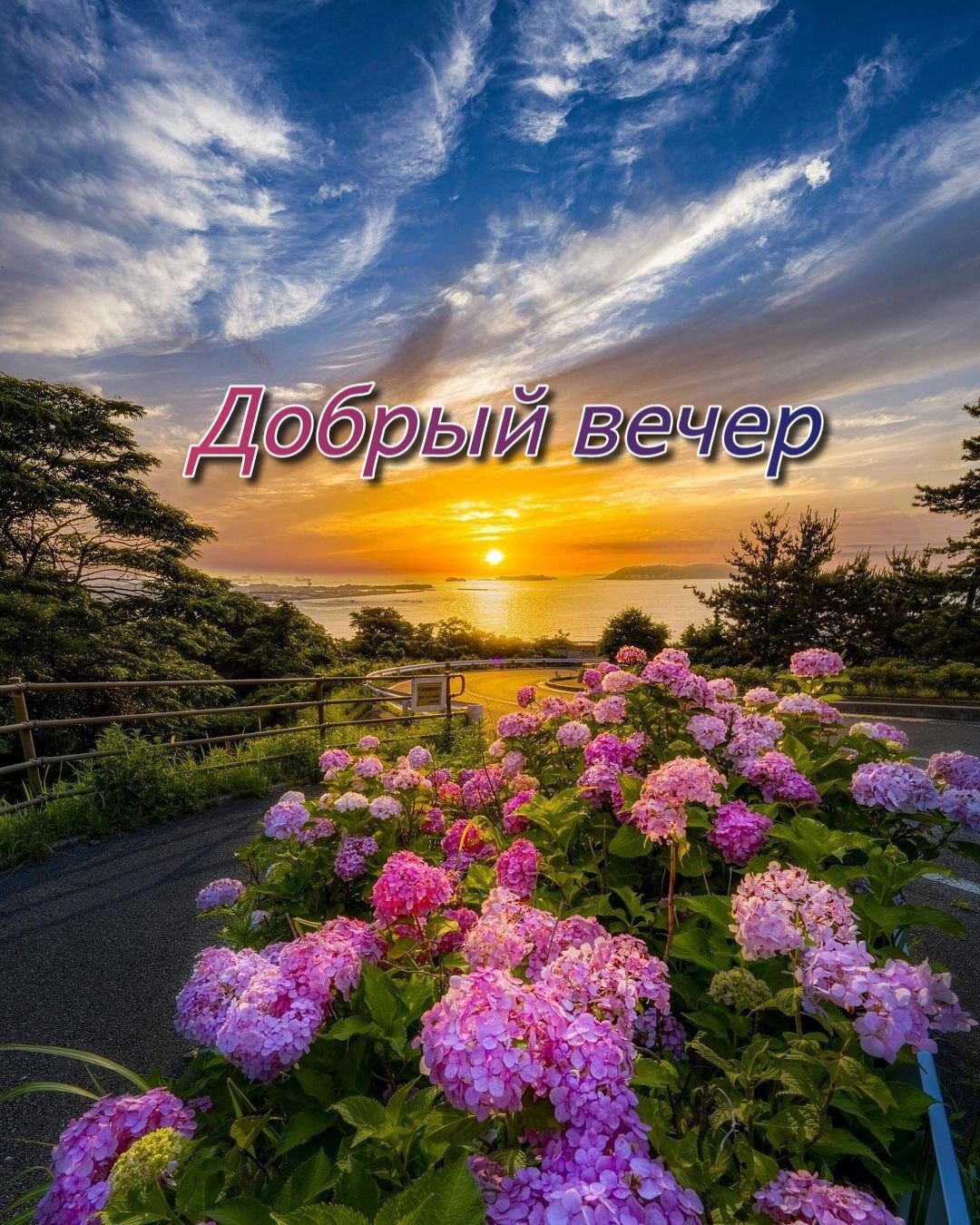 О   гоййр й й вечер