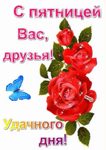 С шильды 5діі_Щц дид