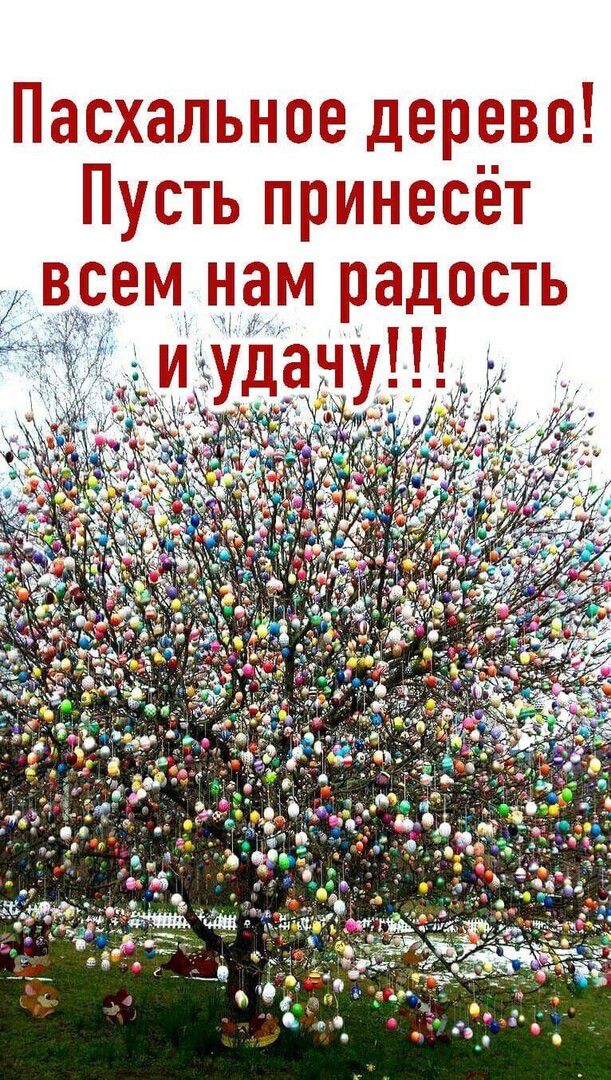 Шасхалтыгжшэ ВЧ щспмыжвёт ДЮЗЁТГЬ
