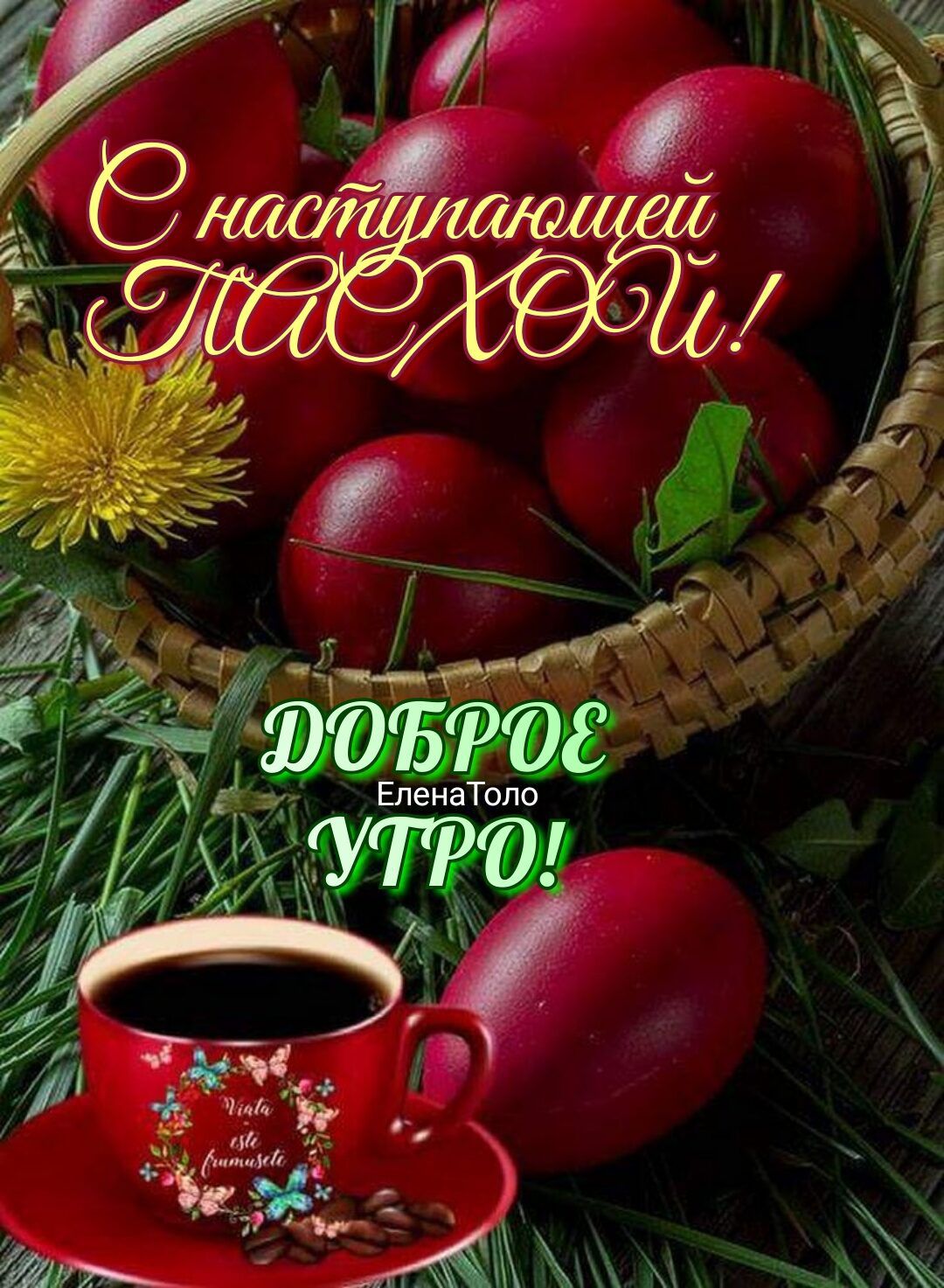 Еленатоло 'гот ро  э