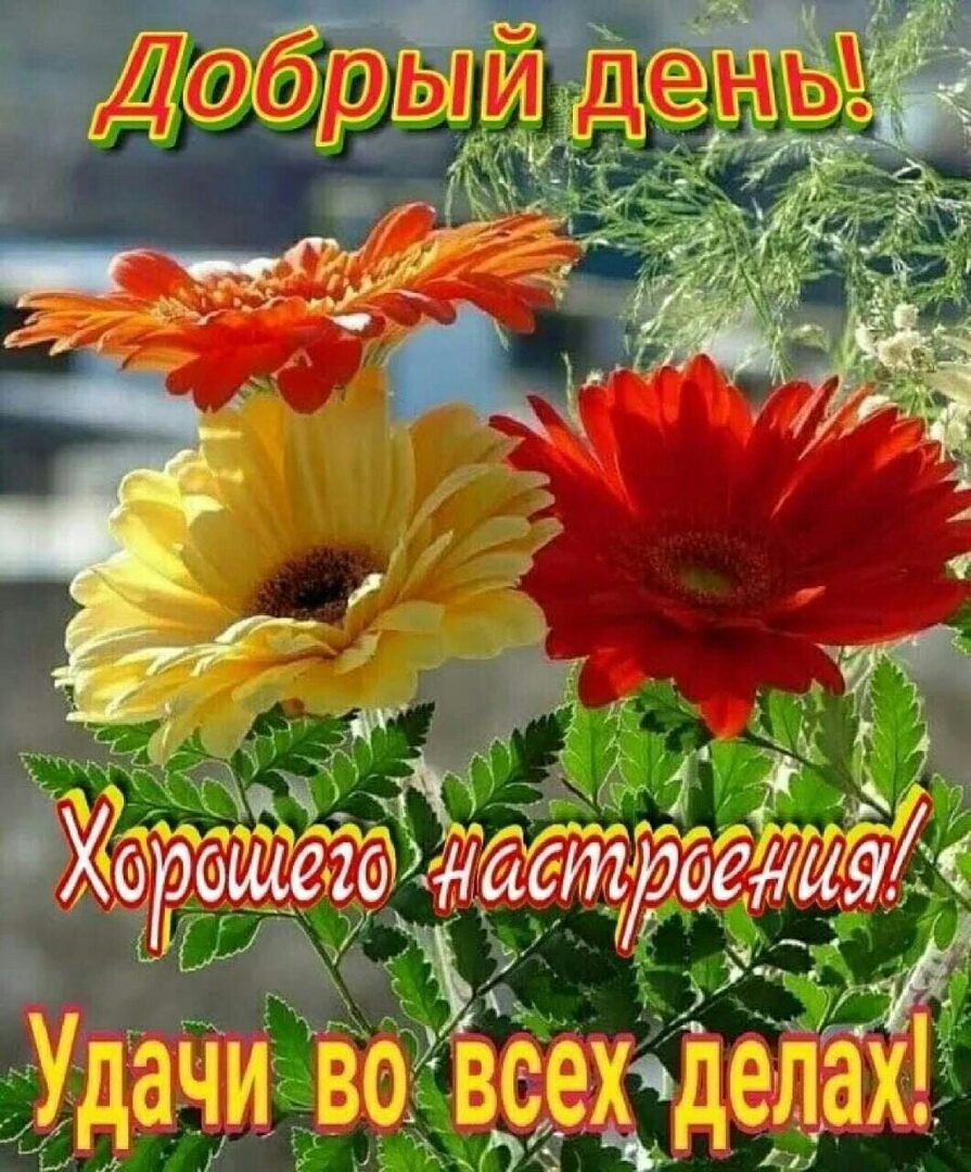Эр ,  010 йастрое 4. 7 .ё.!в.  Зюр 2 ре