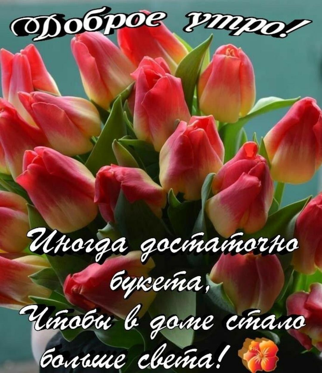 , побб  ;е см .бмщ света 0е