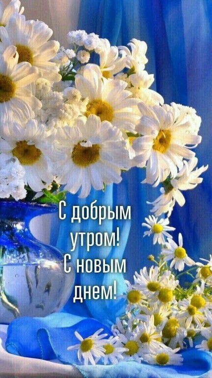 Утро 'ёш:' 