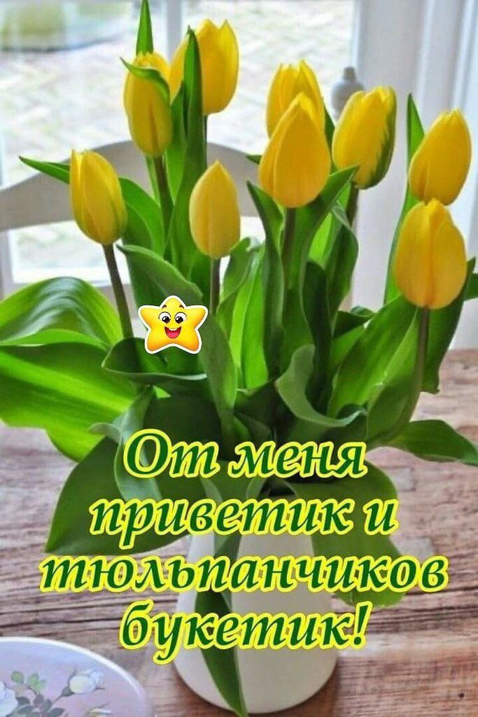 тюль А _ З А