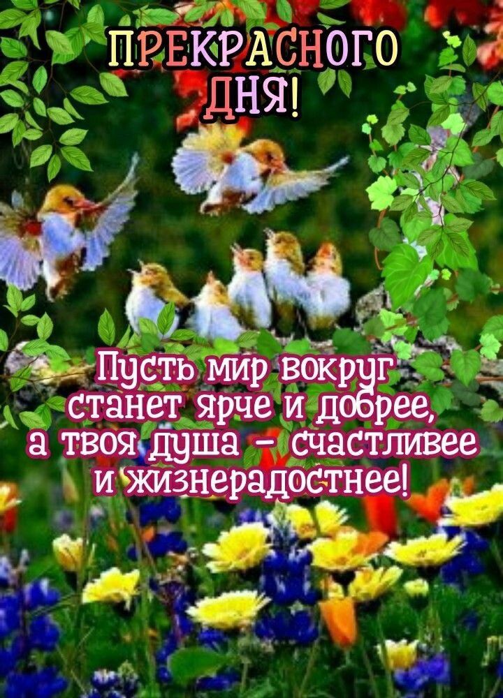 ПРЁКРАсі юго _ и г Рад_Цудстьъмирівокр 33 станедг ярЧеид рее твоящша счастливее _ _ _ и жизнерадзсдгнее ___ ііда 14
