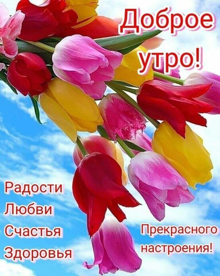 прёъ'рас::ого в настроения!