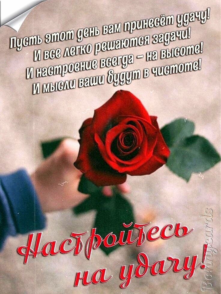 г ёщдцёё'щеё от и :шёпьс н ддиссинний   шшш