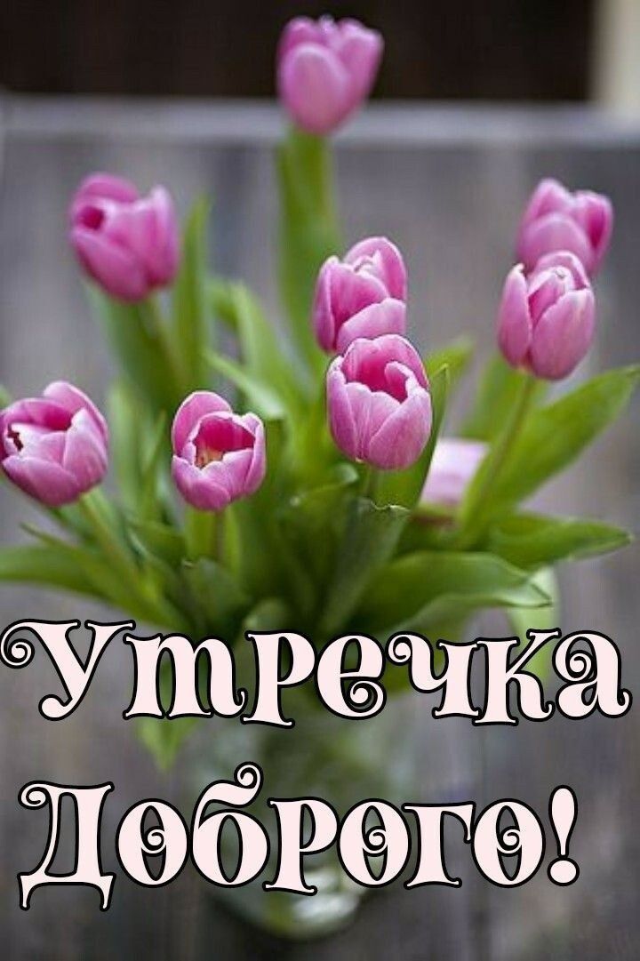 1 е  3 4 а29 « утремка леороге!