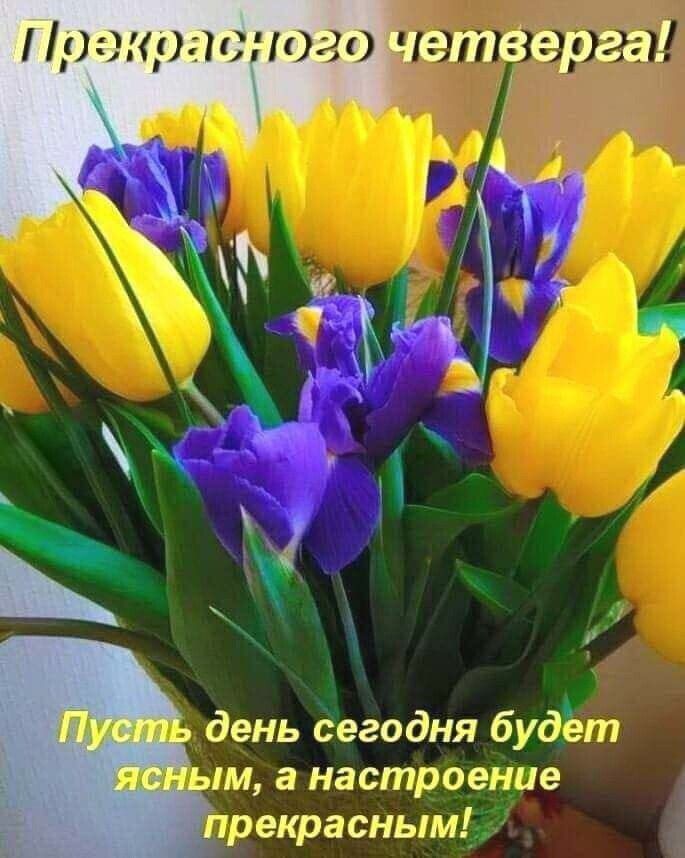 день сегодня будёт пи а настроение прекрасным