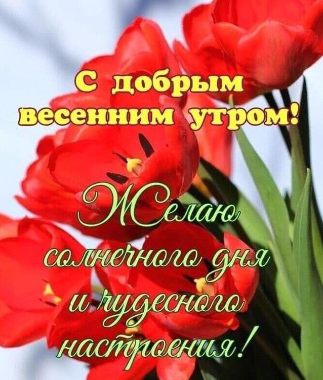 сафрэиштіуш дог шжщ