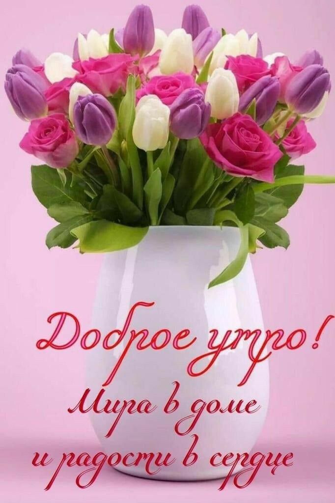 Лз иоц' с 26 сё сегове