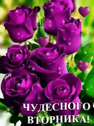 сноЁо Н Е У Ч