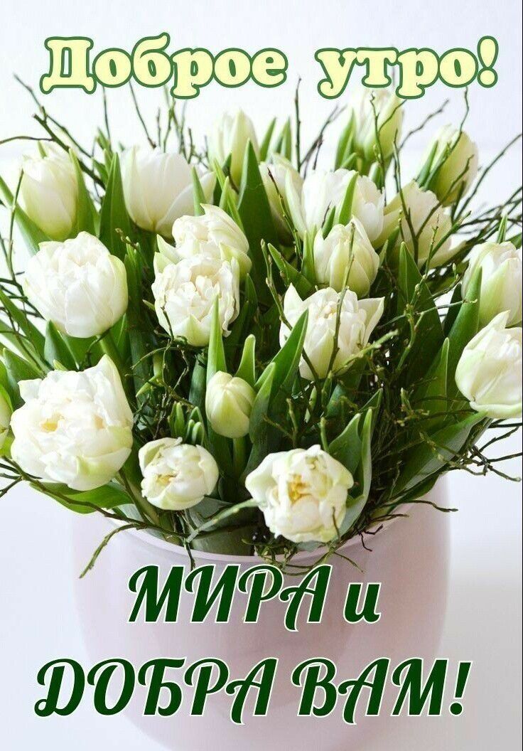500157374 ЁЁМ