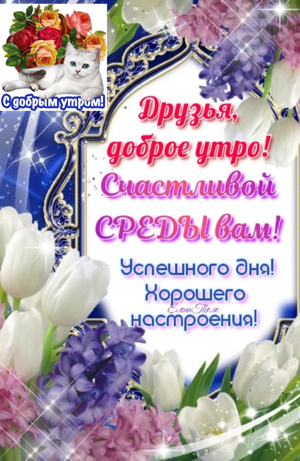 и сцобрым ут М _ д А Нспешного дно Норощего _ носіт1бёнич _ Р У