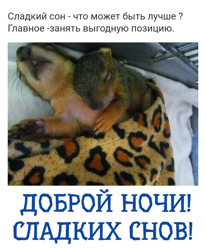 Сладкий сон что может быть лучше Главное занять выгодную позицию