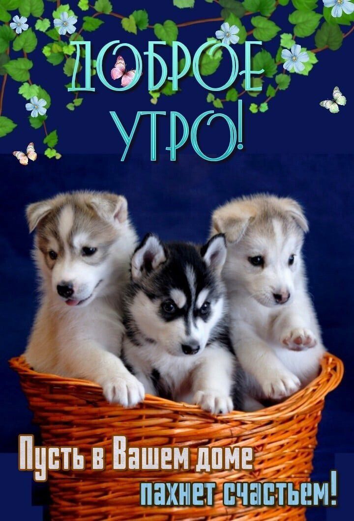 5964 0 нить в Вашем дпме пахн_вт пчнштым
