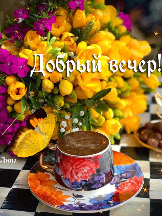 Доёрыи вечер
