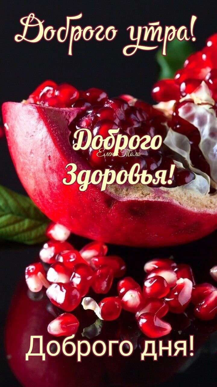 ЗоиБоге _ З Добр0го дня