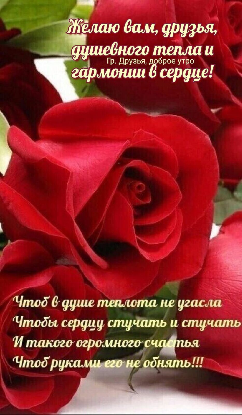 пшплаи Гр Друзья оброе утро мошшЁ серце _ _ т 1 Чтод Вг шмота не угасш Чтоды сердцу и стучать