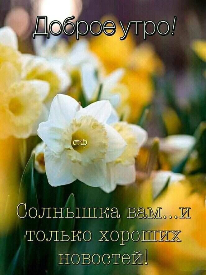 Дёроутр0 ТОЛЬКО ХорОШИХ Е овостей