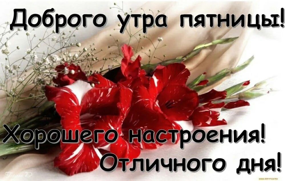 ДоброгоУтра пятницы л ИЧНіОГО дня