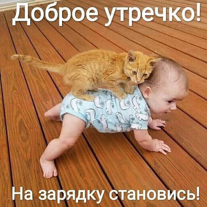 трое утречкаі На зарядку становись