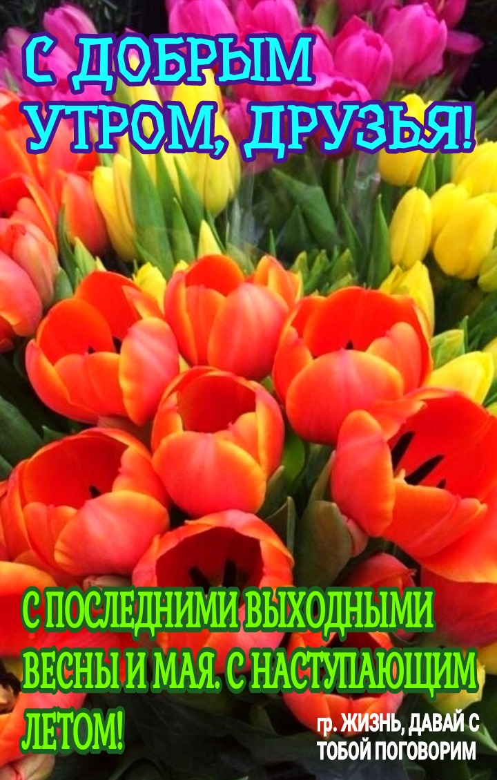 спослвшішииввшошіьщи ввсныиммсщспщю ЗЕТОМ БЁЖЁЮЮРИЬ