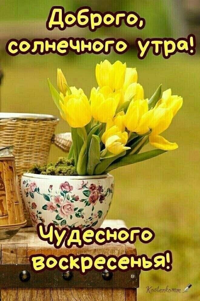 с9 Браги Й зд пигёёьйъ гг 1