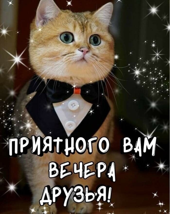 приятиото вам вгчщ Ьт к 5