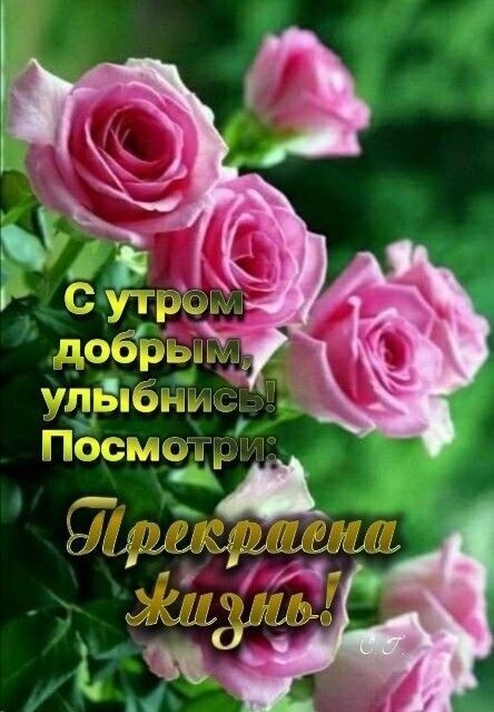 ужгёмыьщ ГП17Ш