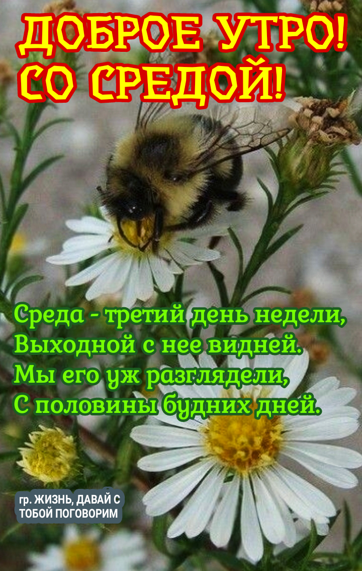 м 6 015 УТНРо РСО ЕРЕДОЙ _ іЁ Среда третийд день недели Выходной с нее вйднейъ Мы егб АЧЖ разглядели С половины будних дней гр ЖИЗНЬ дАВАИС ТОБОЙ ПОГОВОРИМ