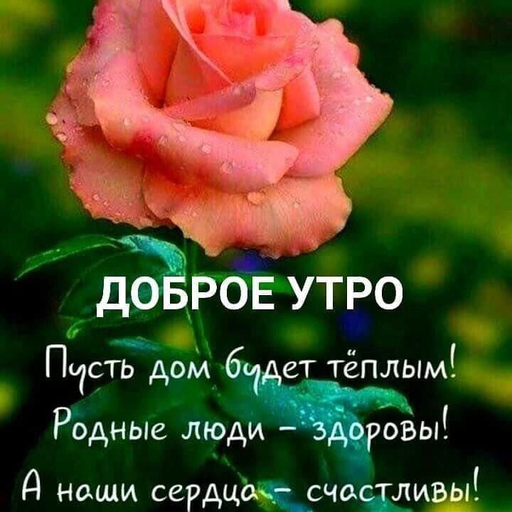 Д РОЕ УТРО Пасть дом 6 ст тёплым Родные ЛЮДЫЧ д наши сердцоісчочдивы