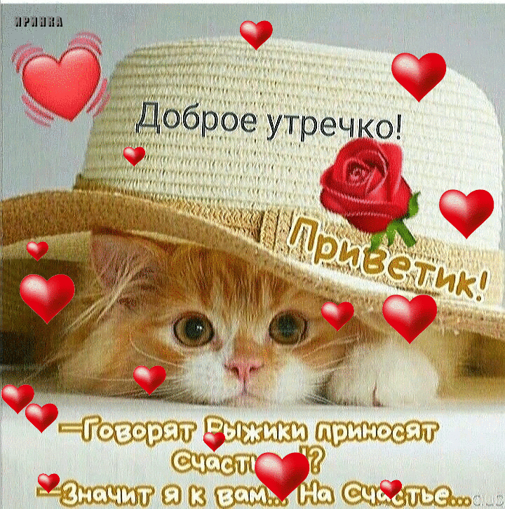 Чьёщтдэшг джшъ щэжшщьлта зажата сз сш 3