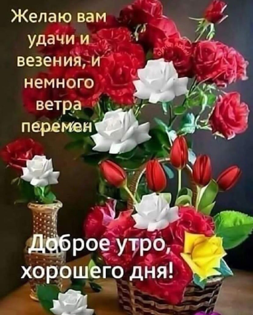Желаю вам _ удачии А везенийи немного дёрое Утро хорршёю дня