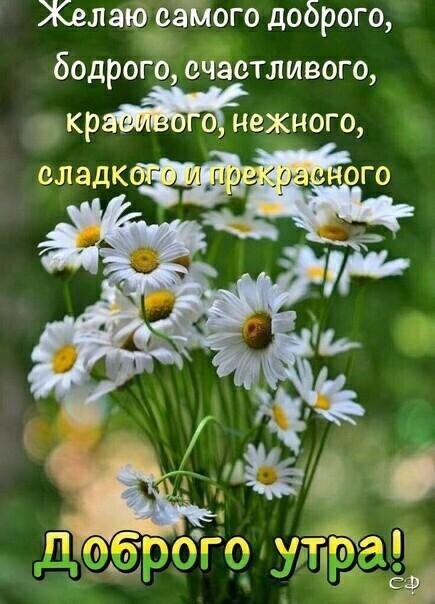 Желаю самого доброго бодрого очаотливого кр нежного оладк го