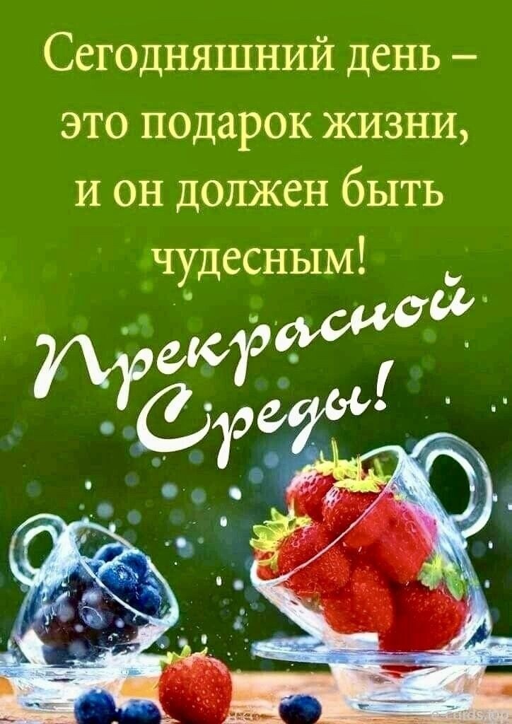 Сегодняшний день это подарок жизни И он должен быть чудесным