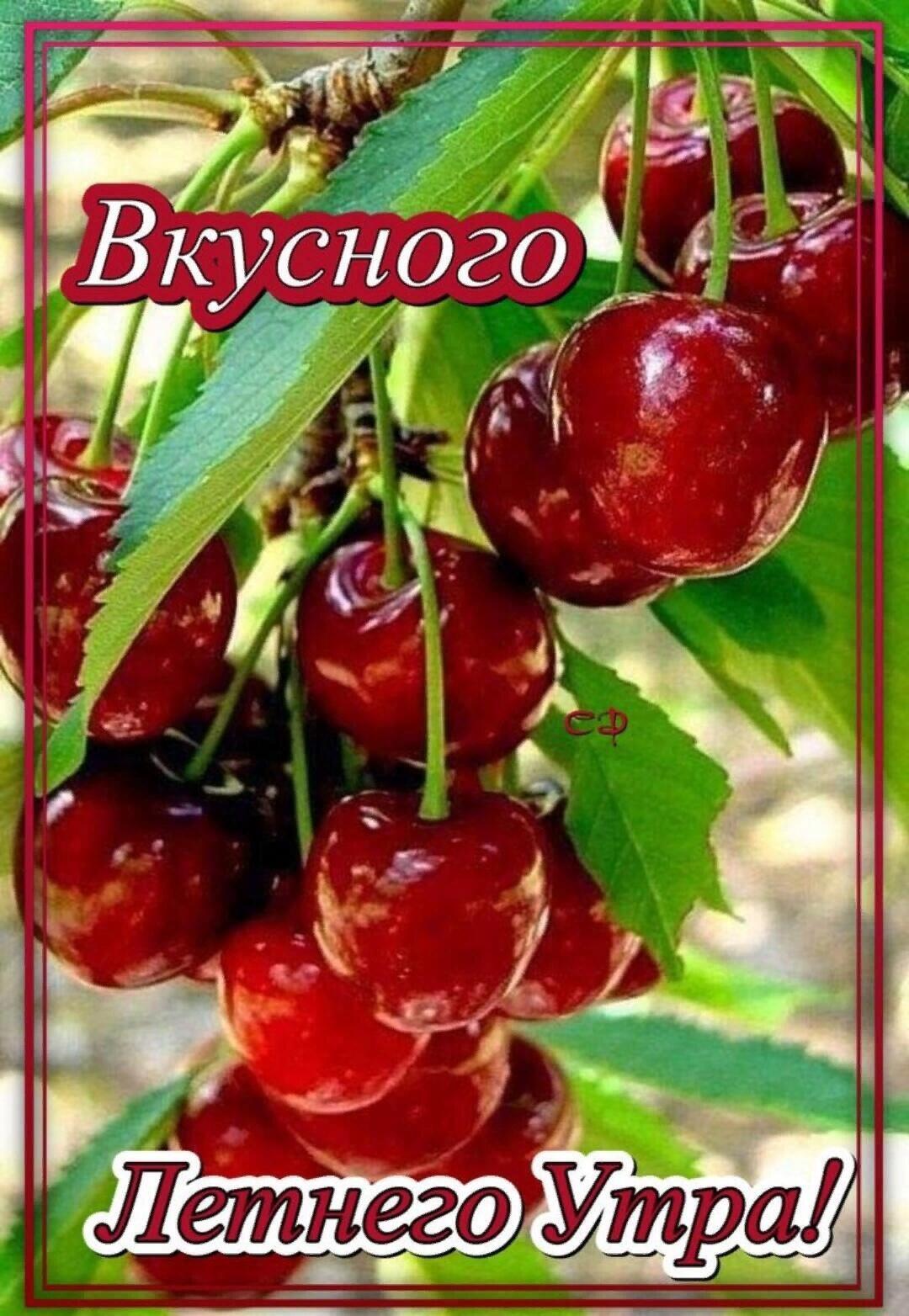 27 вкусного  ароь
