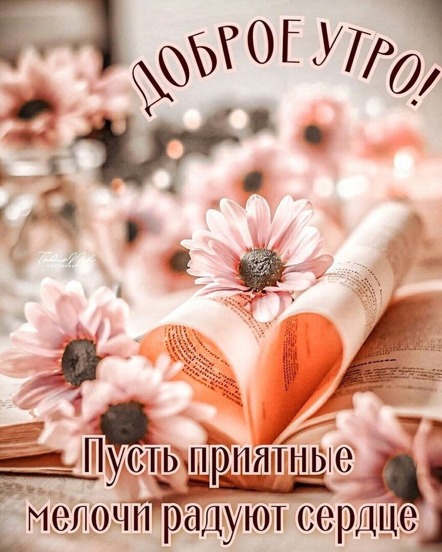 _ ные МеЛОЧП радукм сердце