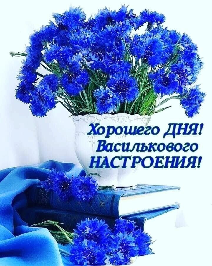 А _ іц у д и с Хорошеёо ДНЯ Букапассажа