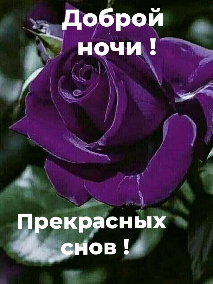 кРЁсных овШ