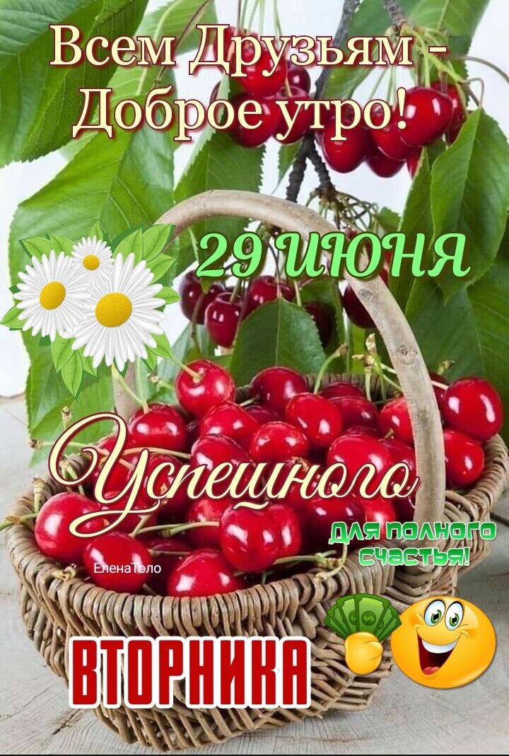 Ё сей ЁЯЙЪ Бега ДЧЁЭ _