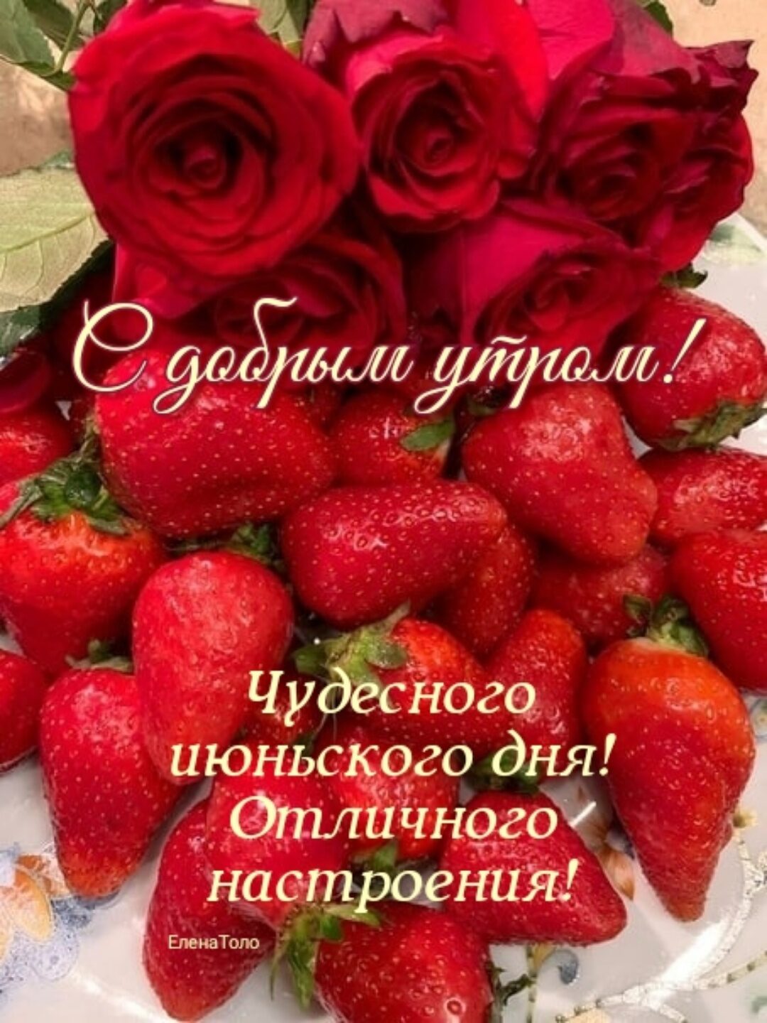 8 312 71 _ _ __ у _ Ъ _ Ч уйнога июньского дня тличног наогдршния