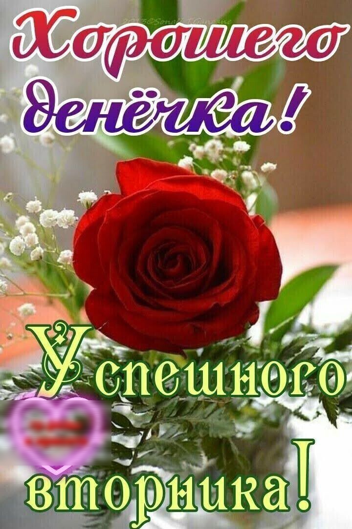 опешнога _